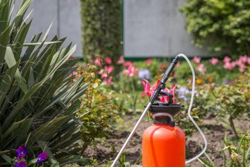 Kompostownik nauczył mnie cierpliwości